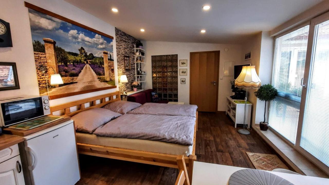 Apartmán Za kopcem Boskovice Esterno foto
