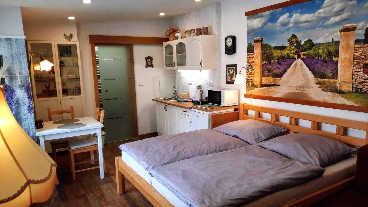 Apartmán Za kopcem Boskovice Esterno foto