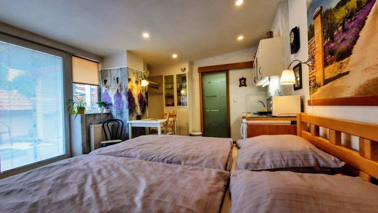 Apartmán Za kopcem Boskovice Esterno foto