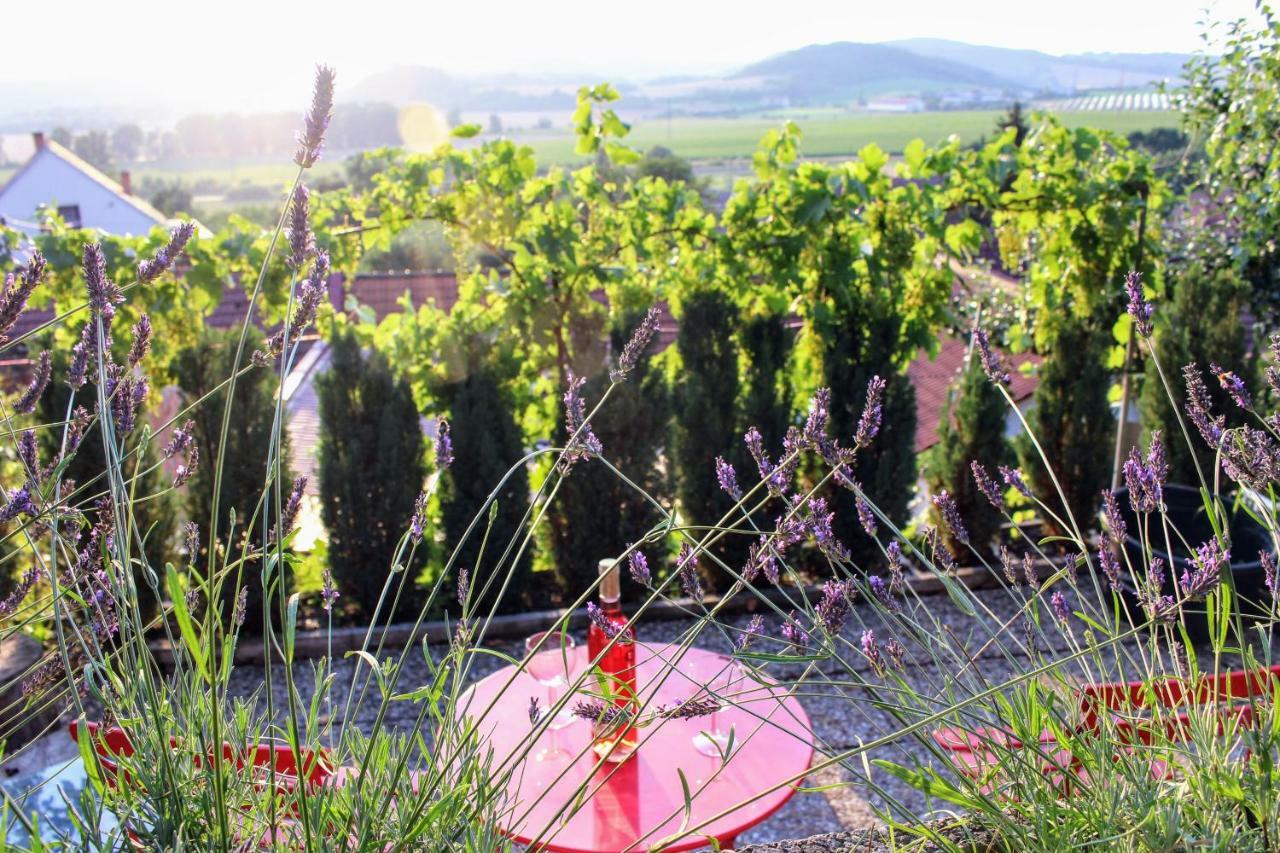 Apartmán Za kopcem Boskovice Esterno foto