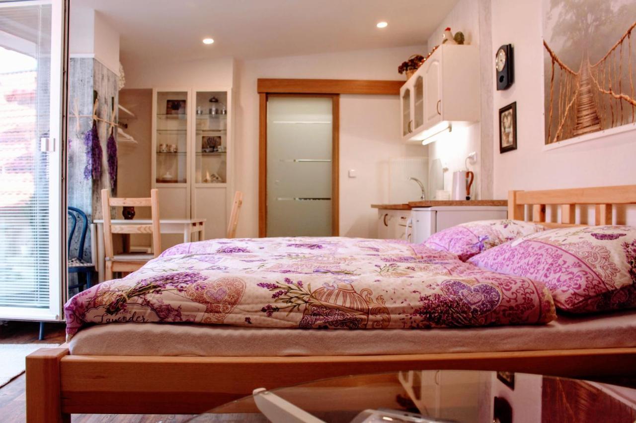 Apartmán Za kopcem Boskovice Esterno foto
