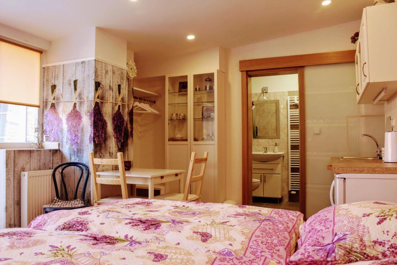 Apartmán Za kopcem Boskovice Esterno foto